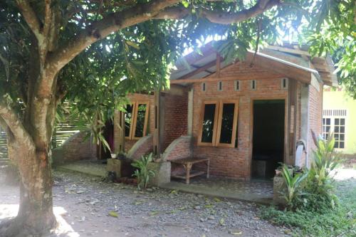 Κήπος έξω από το Jhony's Backpacker-Guest House only stay here book treking with us
