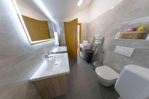 a bathroom with a sink and a toilet at Holiday Homes Mujo Bejzin in Račić