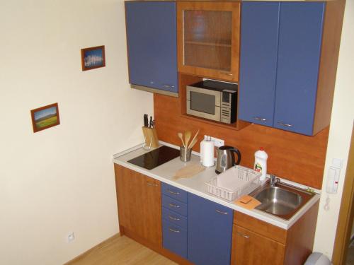 een keuken met blauwe kasten, een wastafel en een magnetron bij Rodinné Apartmány in Deštné v Orlických horách
