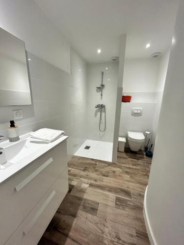 une salle de bain blanche avec douche et toilettes dans l'établissement Casacilagna, à Zonza