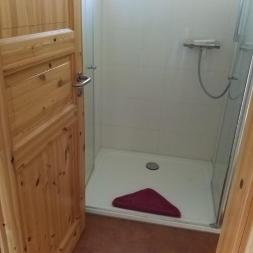 a shower stall with a red towel on the floor at Ostseepension TonArt in Mechelsdorf