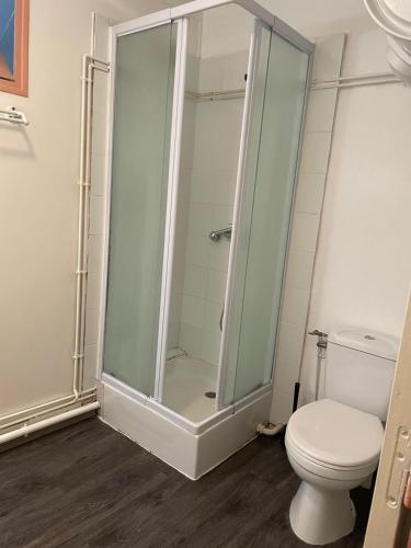 une salle de bain avec toilettes et douche en verre dans l'établissement Studio 8 rue de la République, à Orléans