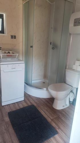 a bathroom with a toilet and a shower at Śniegocinka 2 in Brenna
