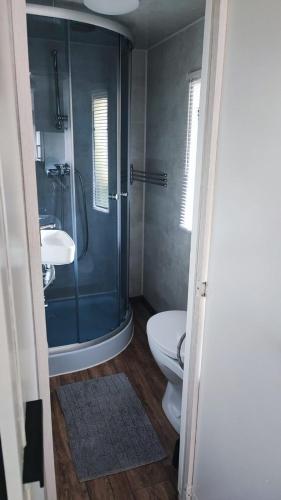 a bathroom with a shower and a toilet and a sink at Śniegocinka 4 in Brenna