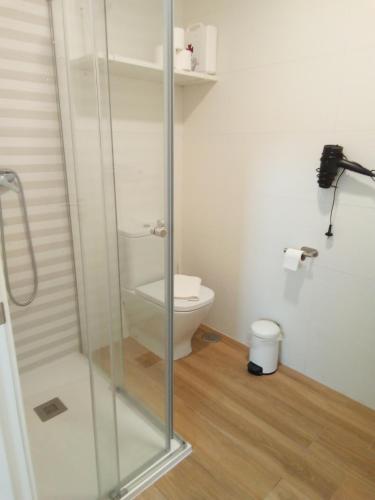 a bathroom with a toilet and a glass shower stall at Mar de Queiruga: 21 Enxa in Porto do Son