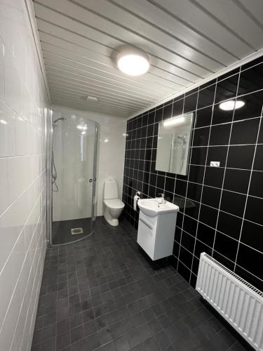 a bathroom with a toilet and a shower and a sink at Studio apartment in Parkano