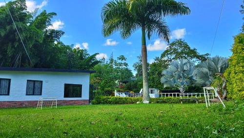 a house with a palm tree in the yard at Finca Turística Peñoles - Cerca de Charcos y Cascadas - Finca Rústica en San Carlos, Antioquia in San Carlos