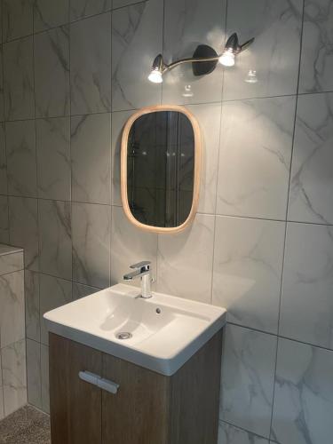 une salle de bain avec un lavabo et un miroir dans l'établissement Magnifique Appartement Charmant T3 80M2 Parking Gratuit, à Rosheim