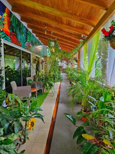 BellaVista Suites By Villas Verdes - Samara Beachにある庭