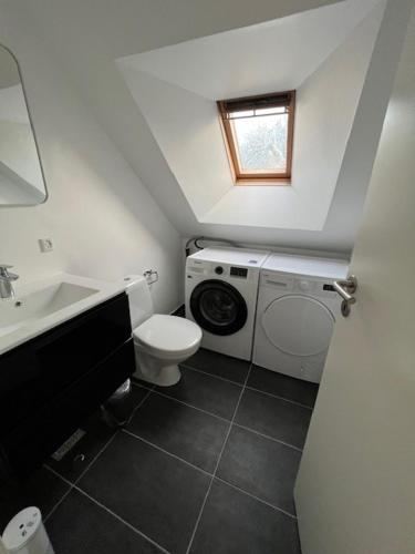 a bathroom with a toilet a sink and a washing machine at Kragenæs Havn in Torrig