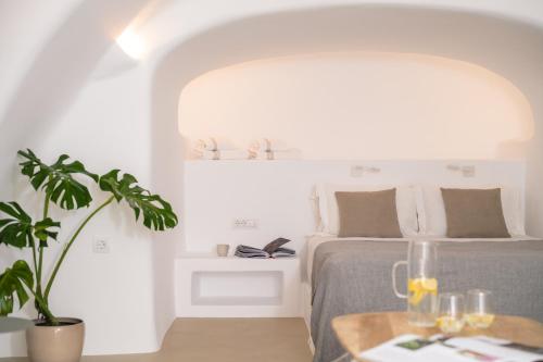 Santorini Wine Villa Downtown Fira