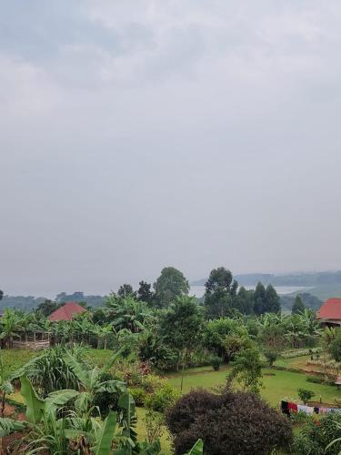 Un paisaje natural cerca de la habitación en casa particular