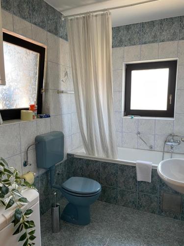 a bathroom with a blue toilet and a sink at Anamarija Apartments in Ličko Petrovo Selo