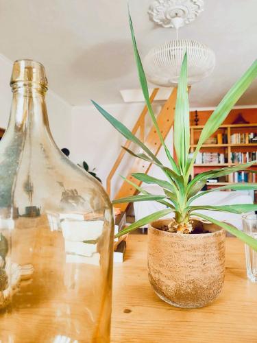 Apartmento SOMA Aljezur