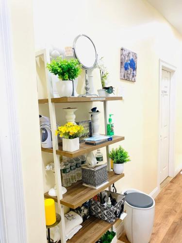 a shelf with potted plants on it in a room at Imperial Stay BNB in Brooklyn