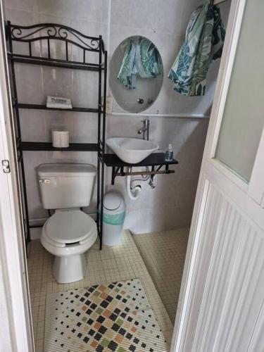 a small bathroom with a toilet and a sink at Casa Flores de la Montaña in Mineral del Monte