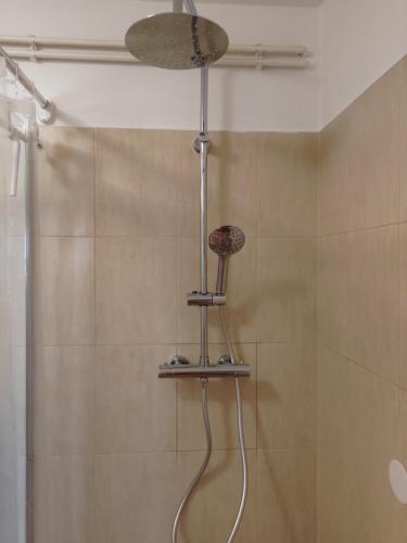 a shower with a shower head in a bathroom at Apartmán Sázava - Žďársko in Sázava