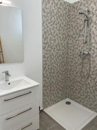 une salle de bain avec douche et lavabo dans l'établissement Portet - Appartement 2, à Portet-sur-Garonne