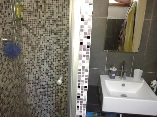 een badkamer met een wastafel en een douche met een spiegel bij Garden House in Florence