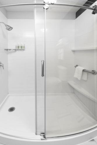 a shower with a glass door in a bathroom at Fairfield Inn & Suites by Marriott Frankenmuth in Frankenmuth