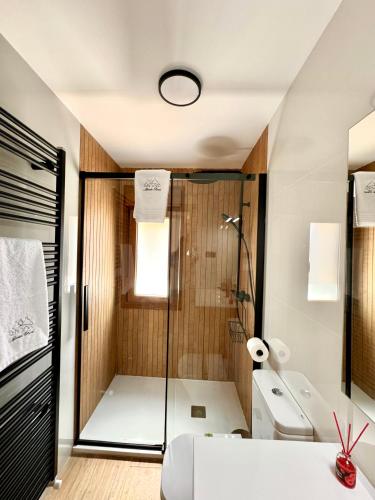 a bathroom with a shower and a toilet at El Balcón De Gredos in Navaluenga