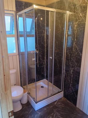 Un baño de Cabaña Puelo 01