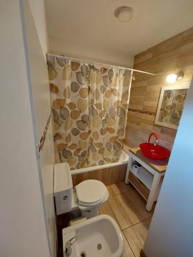 a bathroom with a toilet and a shower at Departamento Ushuaia in Ushuaia