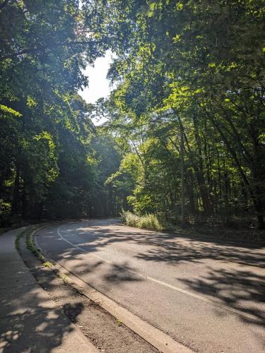 an empty road with trees on either side of it at Luxury Apartment Living in Mississauga