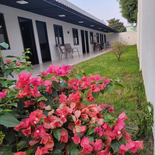 a bush of pink flowers in front of a building at Hospedaje Santa Sofia Minga Guazú in Minga Guazú