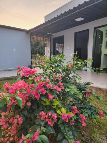 a bush of pink flowers in front of a house at Hospedaje Santa Sofia Minga Guazú in Minga Guazú