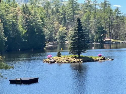 a small island in the middle of a lake at Chalet on Private Alderbrook Lake in Bolton