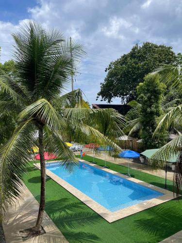 a palm tree next to a swimming pool at Casa Aleli Cebu in Ginatilan