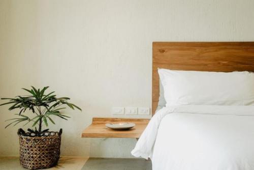 a bedroom with a bed and a table with a plant at Frangipani El Nido in El Nido