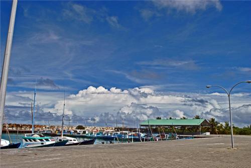 a bunch of boats docked in a marina with a blue sky at Isle Inn Guesthouse in Fuvahmulah