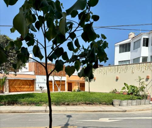 a tree on the side of a street at Casa Danda Punta Hermosa in Punta Hermosa