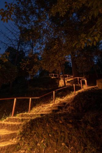 a set of stairs in a park with trees at Buransh Terraces by The Blue Kite - Luxury 3 & 4BHK Villas with Mountain View, Caretaker & Kitchen in Bhowāli