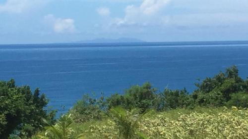 a view of a large body of water at 海闊天空 丁一的家民宿 Pacific Ocean View in Chenggong