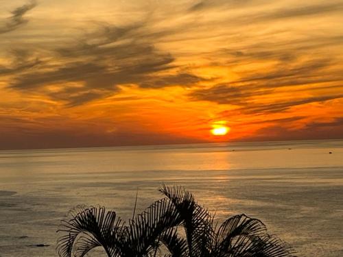 a sunset over the ocean with a plant in the foreground at 海闊天空 丁一的家民宿 Pacific Ocean View in Chenggong