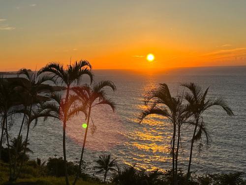 a sunset with palm trees in front of the ocean at 海闊天空 丁一的家民宿 Pacific Ocean View in Chenggong