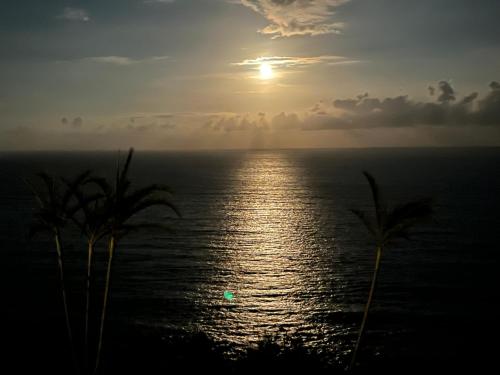 a sunset over the ocean with palm trees in the foreground at 海闊天空 丁一的家民宿 Pacific Ocean View in Chenggong