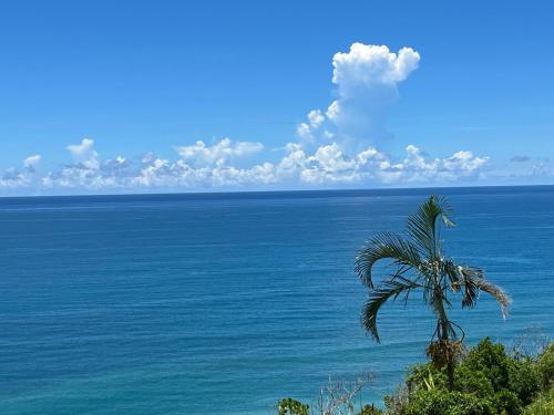 a palm tree sitting next to a large body of water at 海闊天空 丁一的家民宿 Pacific Ocean View in Chenggong