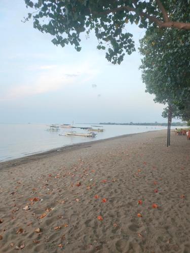 a beach with a tree and boats in the water at Vanaya Lodge in Pemuteran
