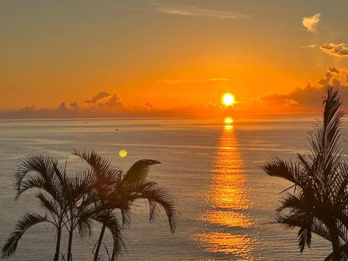 a bird sitting on a palm tree in front of a sunset at 海闊天空 丁一的家民宿 Pacific Ocean View in Chenggong