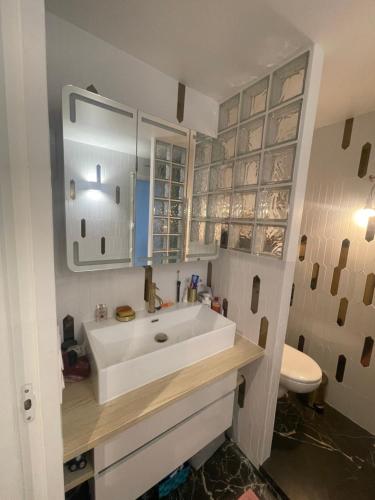 une salle de bain avec un lavabo blanc et des toilettes dans l'établissement APPAREMMENT Familiale Centre Paris 3ch 3SDB, à Paris
