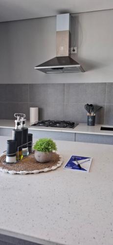 a kitchen with a counter with a plant on it at Seaside Escape Apartment in Flic-en-Flac