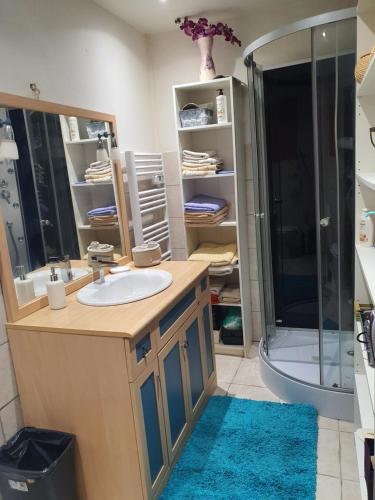 une salle de bain avec un lavabo et une douche dans l'établissement Studio, à Bourg-de-Péage