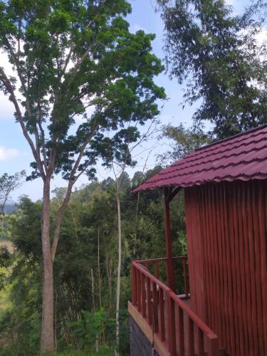 a red cabin with a tree in the background at Happy Monkeys Village in Sidomukti