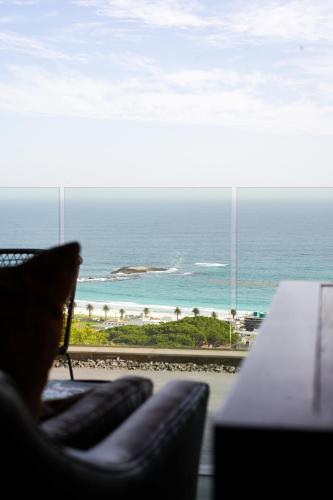 a cat sitting in a chair looking out at the beach at Atholl House in Cape Town