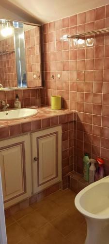 une salle de bain avec un lavabo et un miroir dans l'établissement Gite lefevre a callian, à Callian