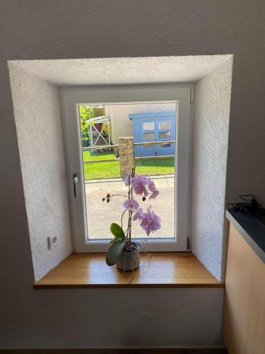 a window with a vase with flowers on a table at Ferienwohnung Hühn in Mülbach
